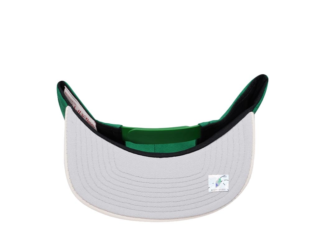 Mitchell & Ness Milwaukee Bucks Team Two Tone 2.0 Snapback Cap
