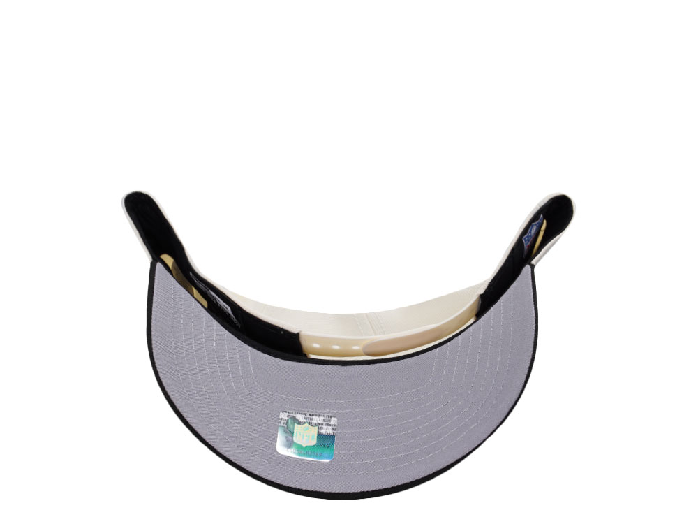 New Era Philadelphia Eagles Classic Chrome Two Tone Edition 9Forty A Frame Snapback Cap