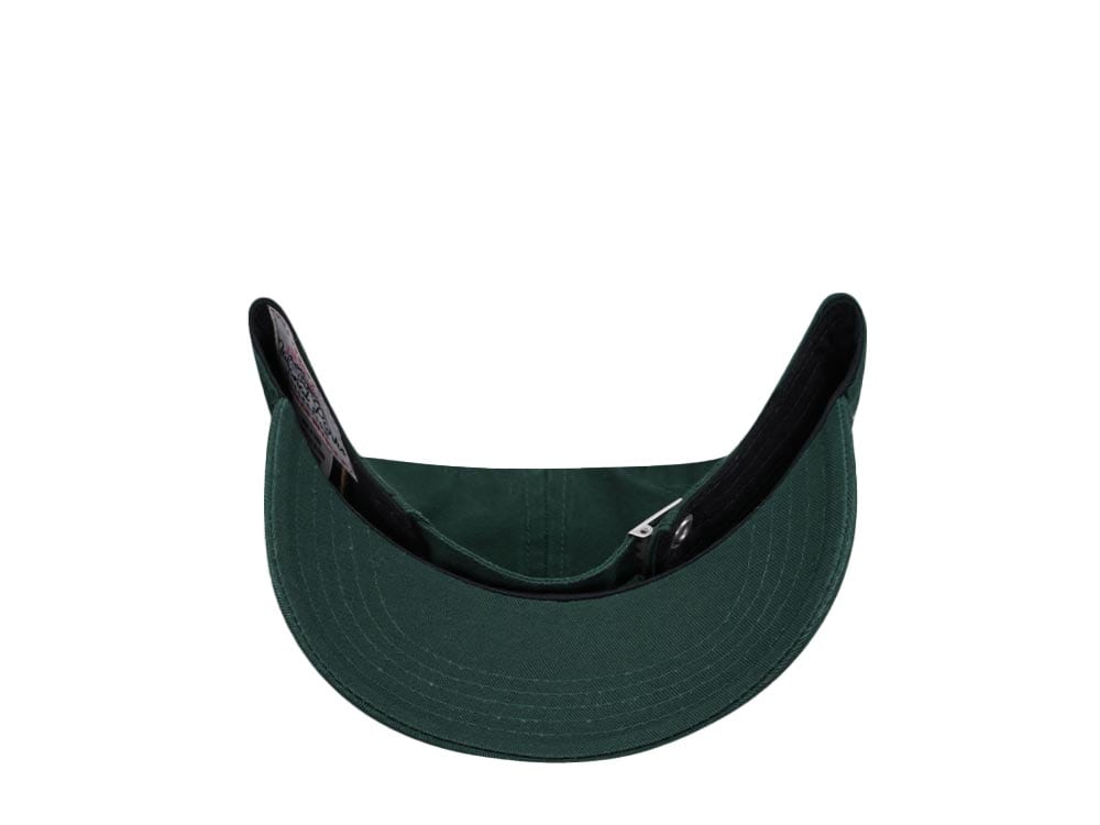 American Needle Olympic National Park Hepcat Dark Green  Strapback Cap