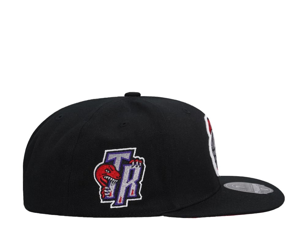 Mitchell & Ness Toronto Raptors Logo History Hardwood Classic Dynasty Fitted Cap