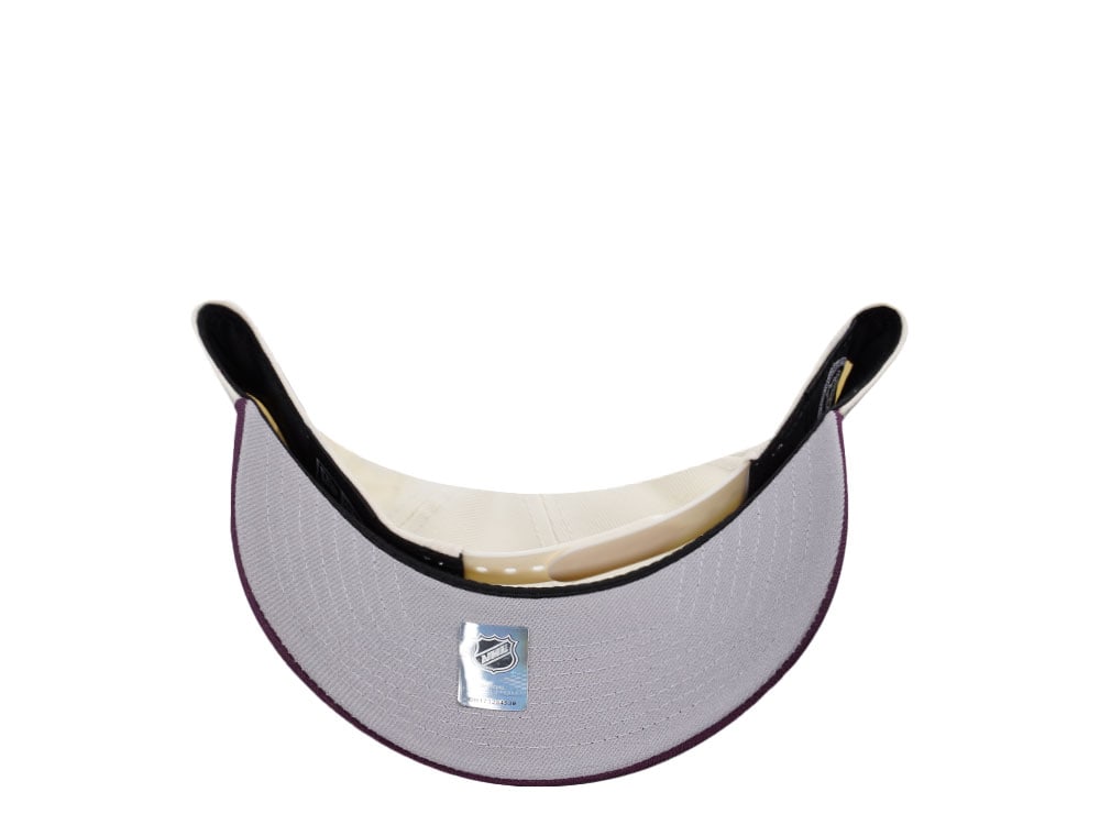 New Era Anaheim Ducks Circle Logo Chrome Two Tone Edition 9Forty A Frame Snapback Cap