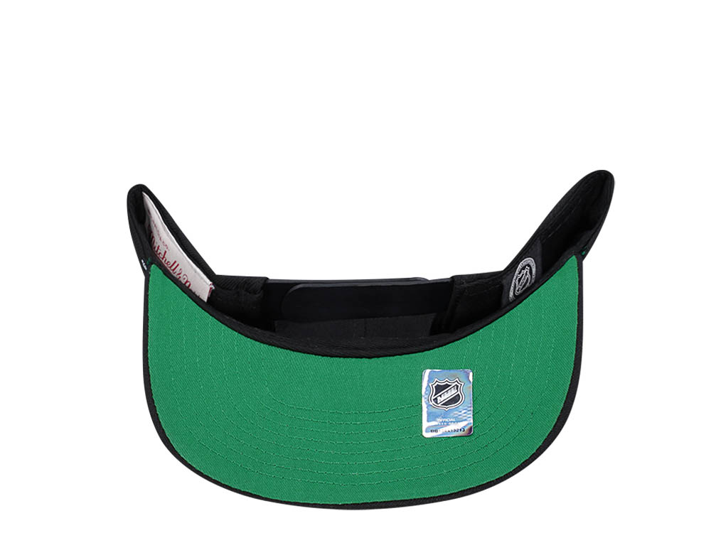Mitchell & Ness Minnesota North Stars Vintage Paintbrush Snapback Cap