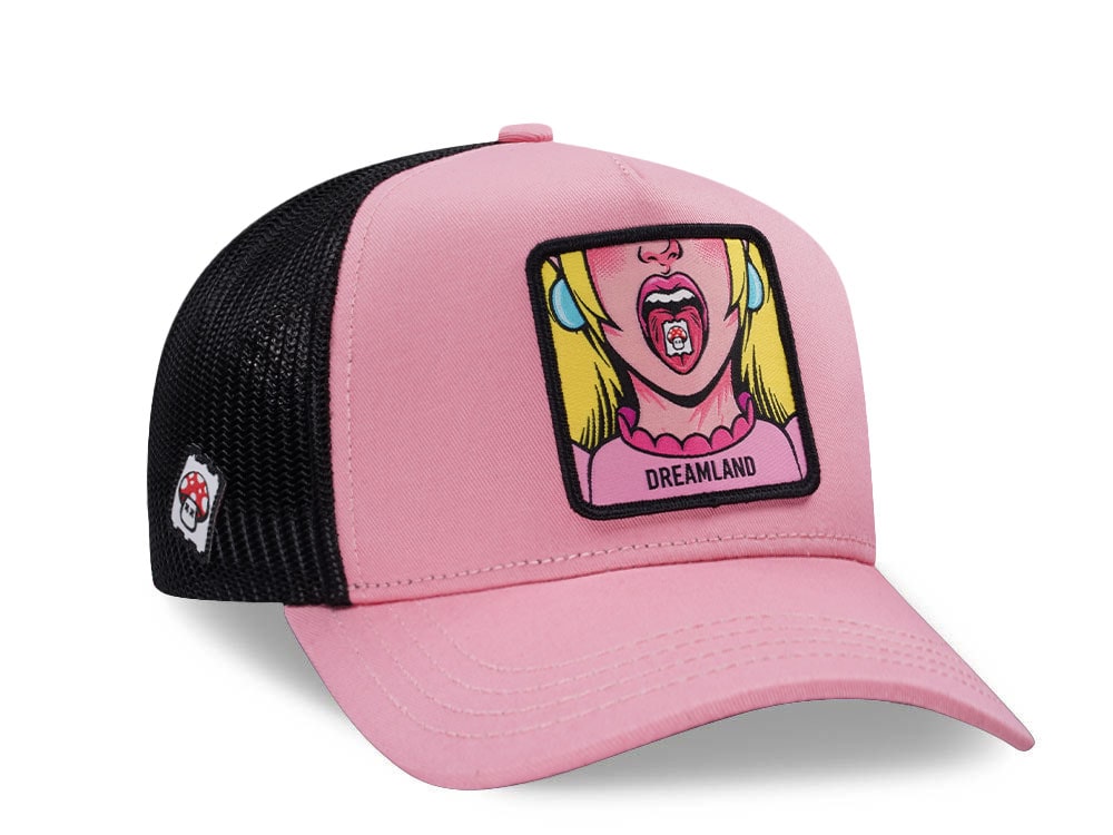 Capslab Cute Dreamland Pink Trucker Snapback Cap