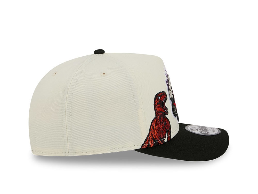 New Era Toronto Raptors HWC 9Fifty A Frame Snapback Cap