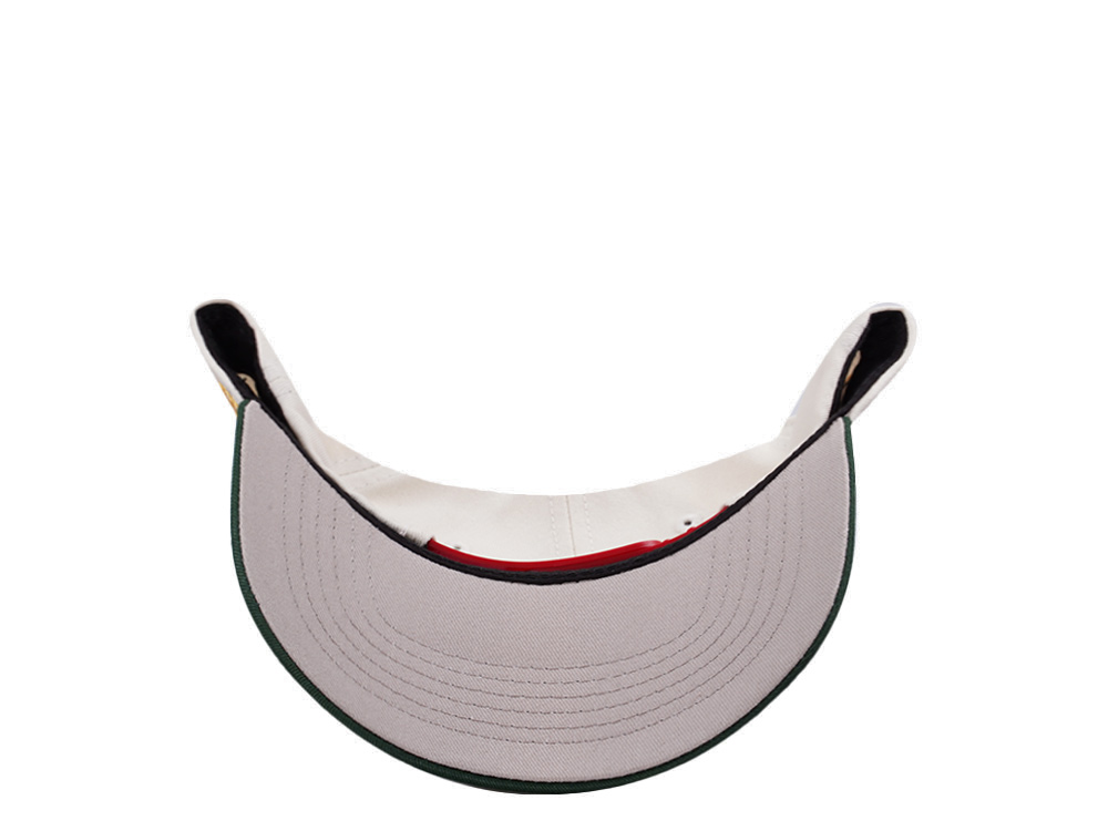 Parallel Union Mexico Skull Headdress Chrome Two Tone Edition Snapback Cap