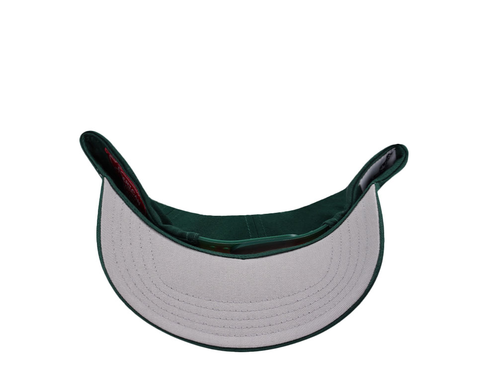 American Needle Mack Truck Twill Valin Patch Green Snapback Cap