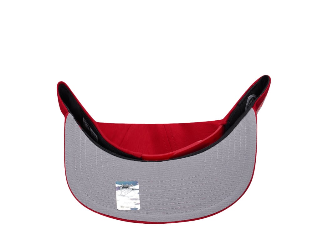 Detroit Red Wings Farewell Joe Louis Arena Vintage Edition Golfer Snapback Cap